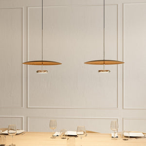 LED Ceiling Light Hanging Fixture Indirect