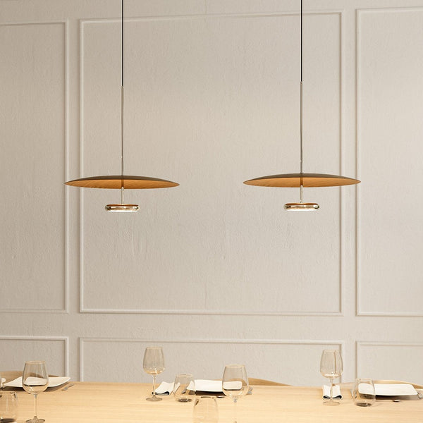 LED Ceiling Light Hanging Fixture Indirect