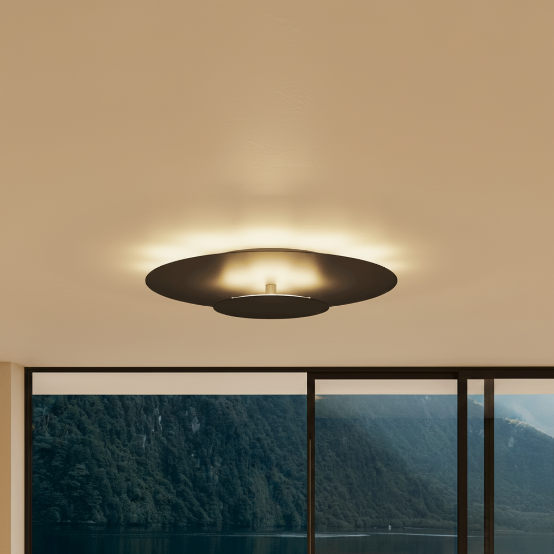 LED Lighting Flush Mount Ceiling Light