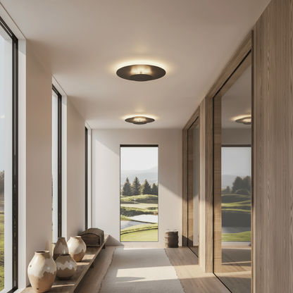 LED Lighting Flush Mount Ceiling Light
