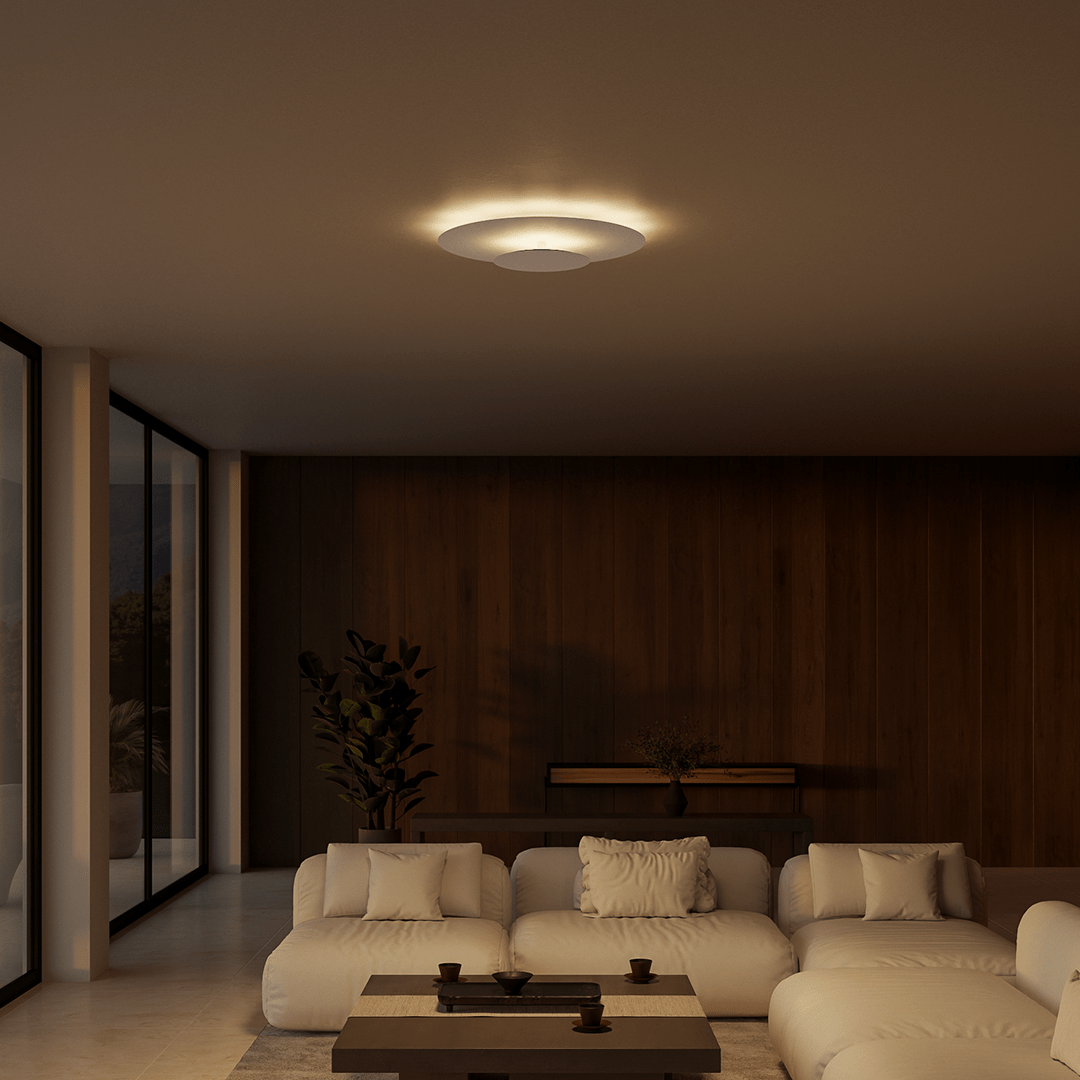LED Lighting Flush Mount Ceiling Light