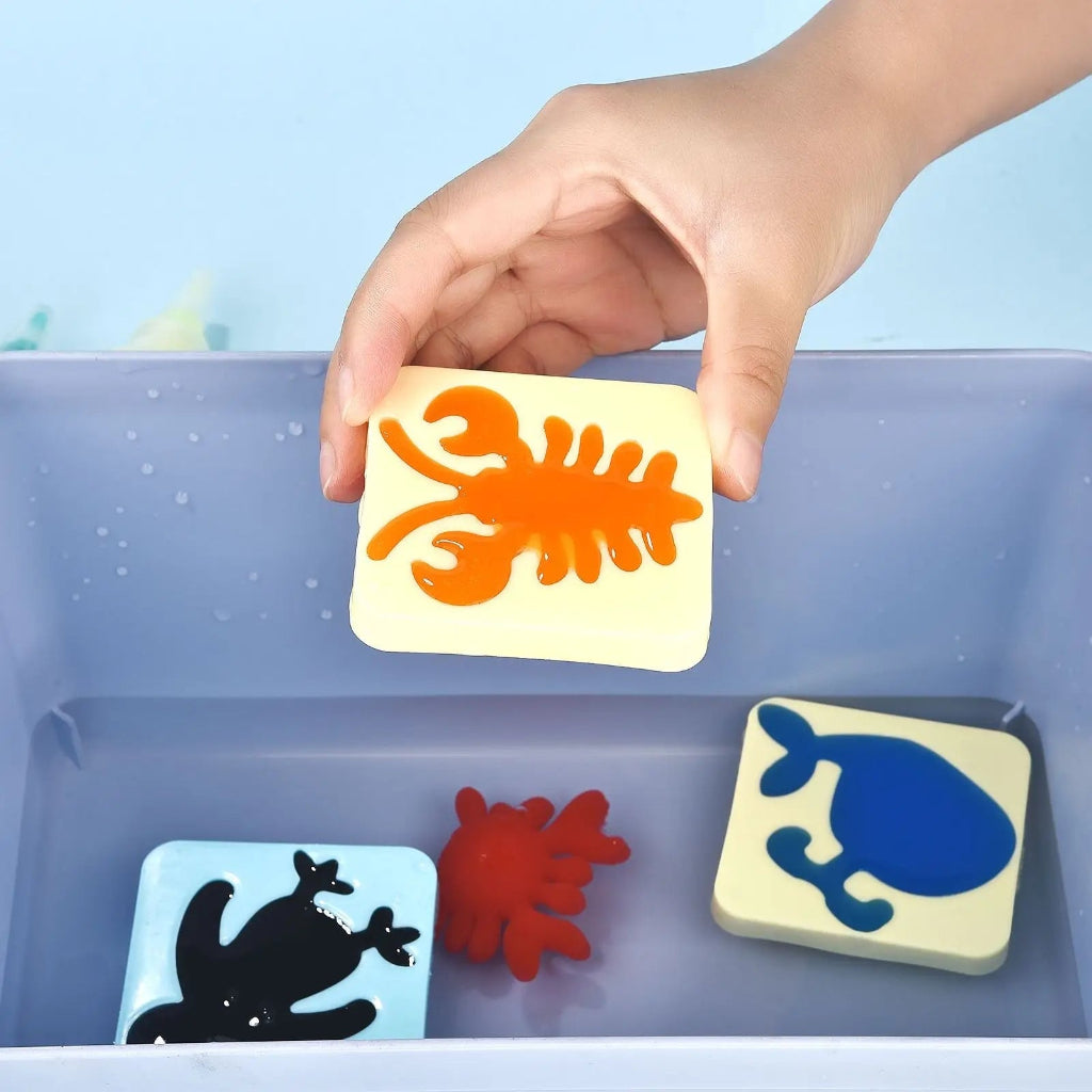Montessori Toys Fine Motor Skills Toy