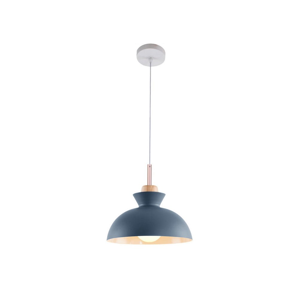 Modern Single Pendant Dome Light