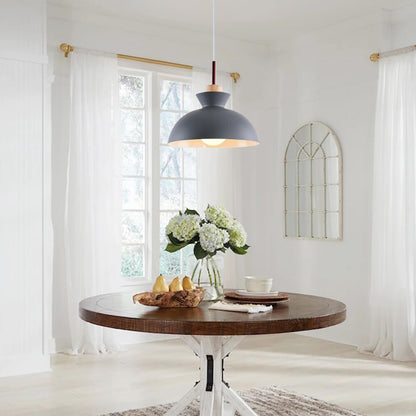Modern Single Pendant Dome Light