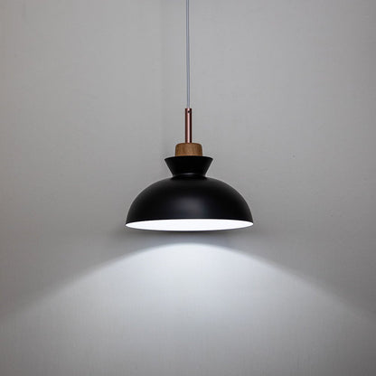 Modern Single Pendant Dome Light
