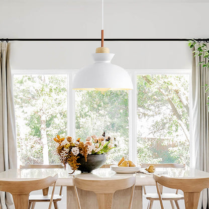 Modern Single Pendant Dome Light