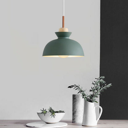 Modern Single Pendant Dome Light