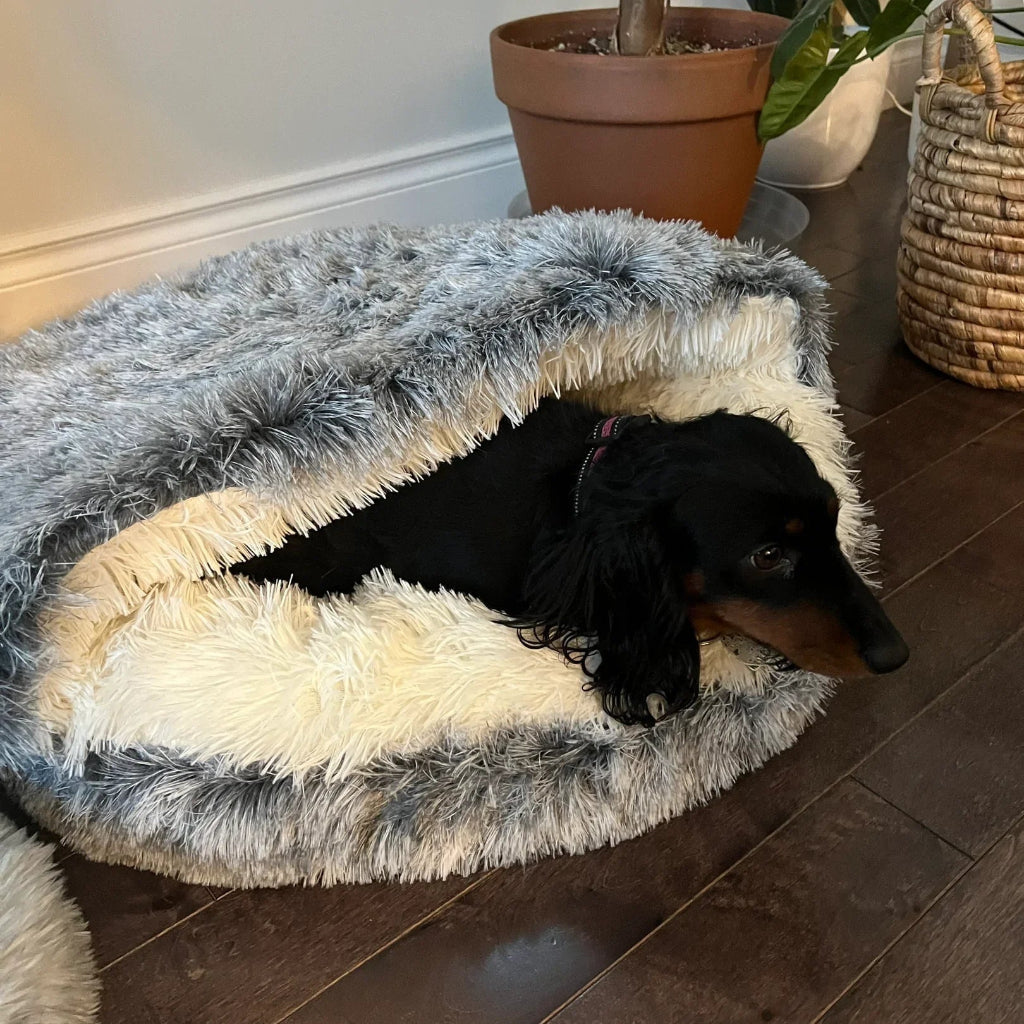 Pet Cave Bed Cozy Cat Cave Design