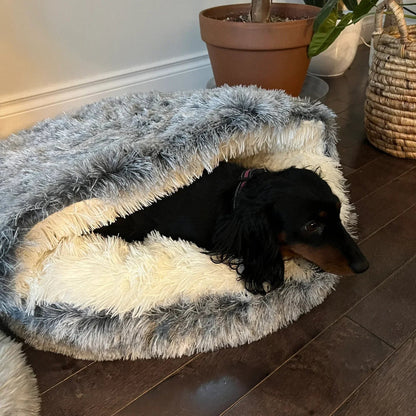 Pet Cave Bed Cozy Cat Cave Design