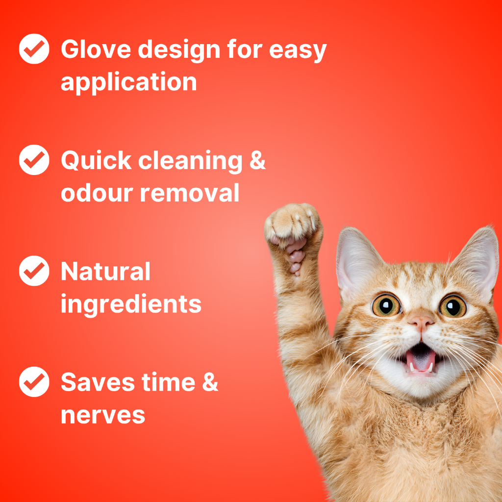 Pet Cleaning Gloves Disposable Pet Grooming