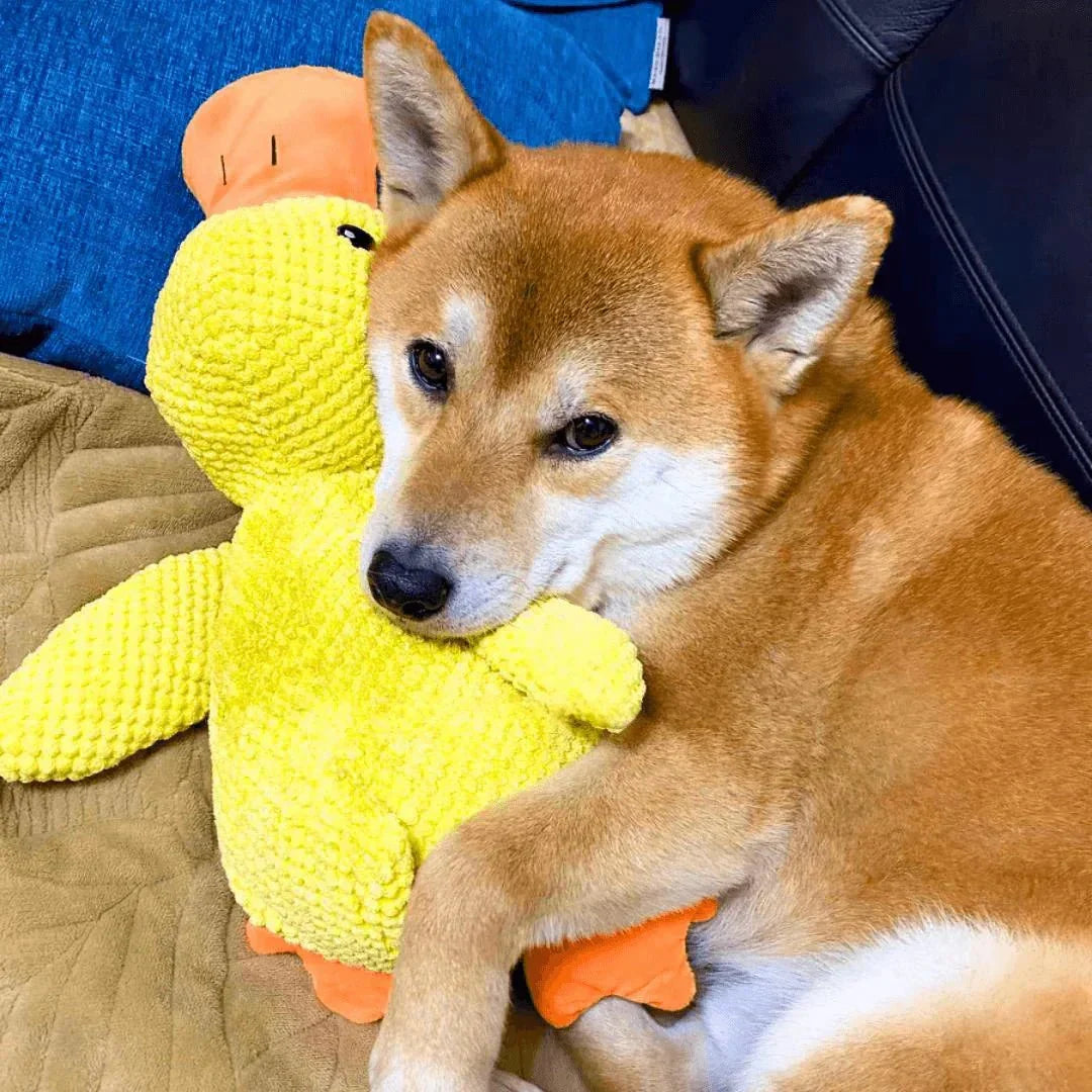 Calming Dog Toy Quacking Sound Chewing Play