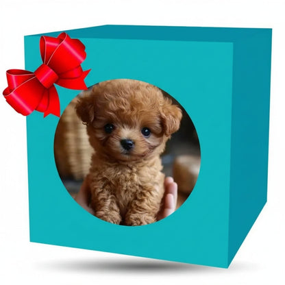 Robotic Puppy Robot Dog Toy Interactive Play