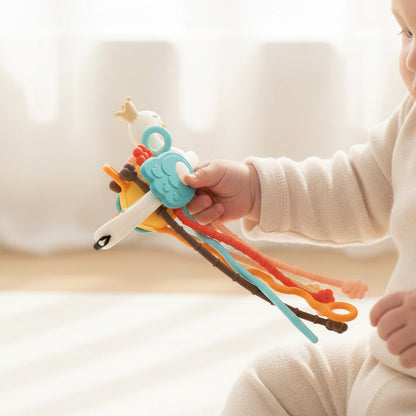 Sensory Toy Infants Teething Fine Motor