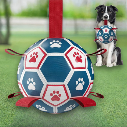 World Cup Interactive Dog Toy Durable Ball