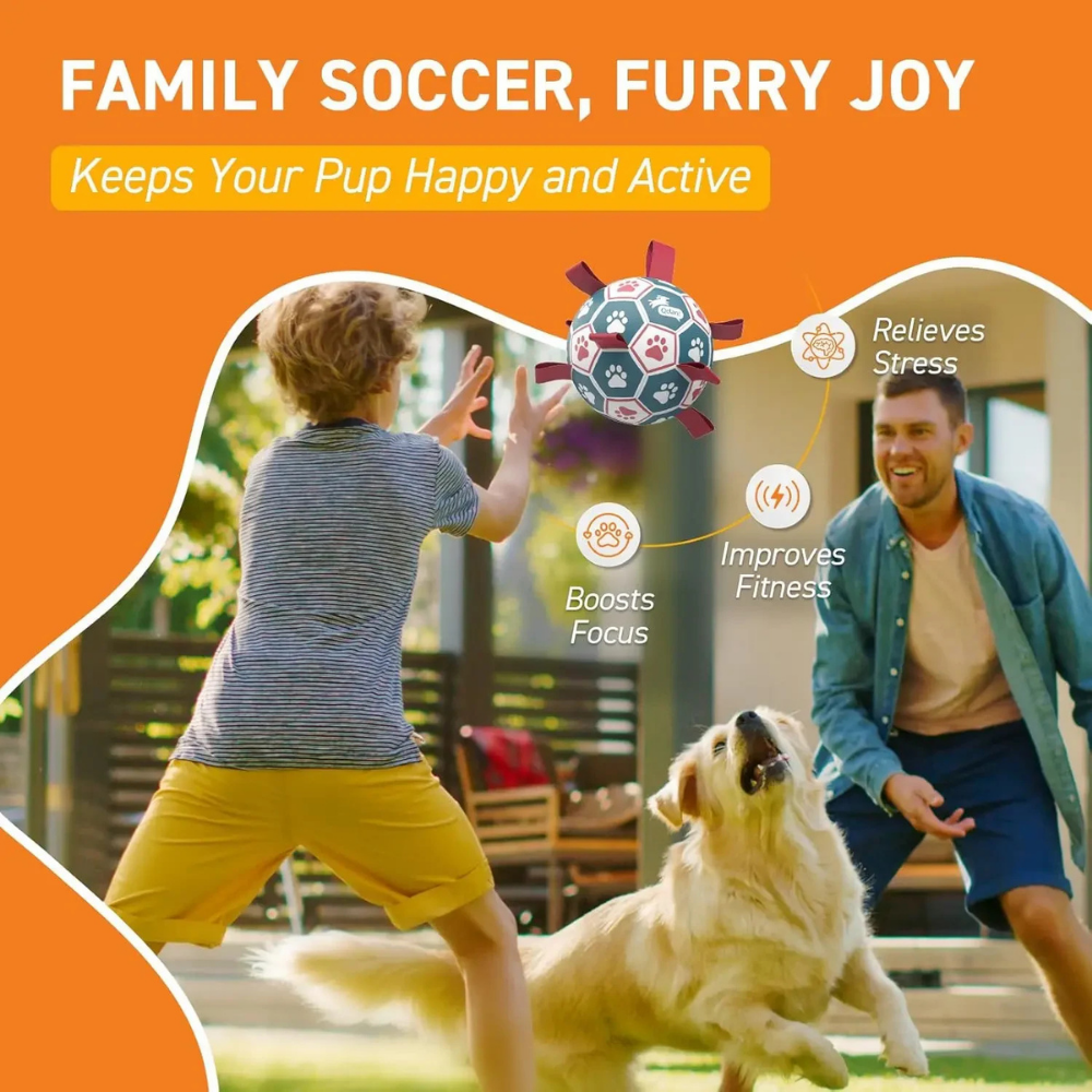World Cup Interactive Dog Toy Durable Ball