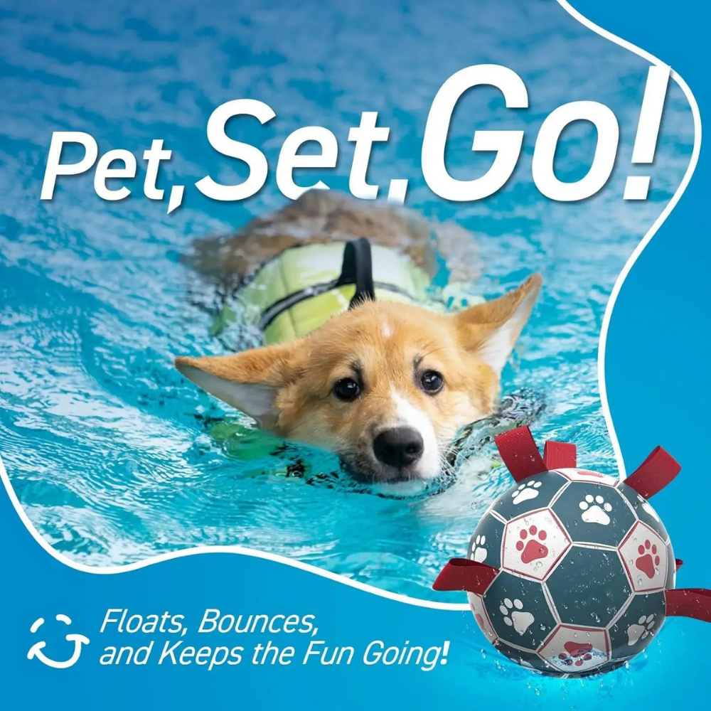 World Cup Interactive Dog Toy Durable Ball